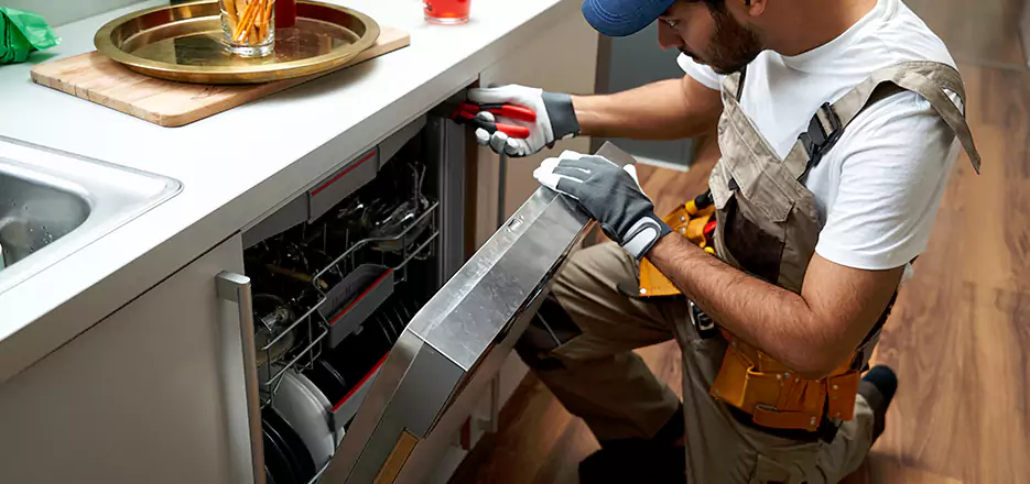 Same Day Dishwasher Not Draining Repair in Huntersville